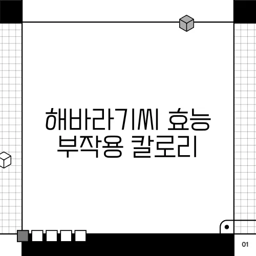 해바라기씨 효능 부작용 칼로리