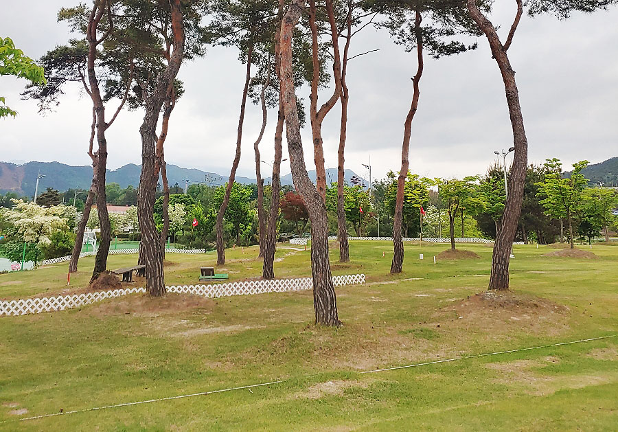 전라남도 곡성동악파크골프장 소개