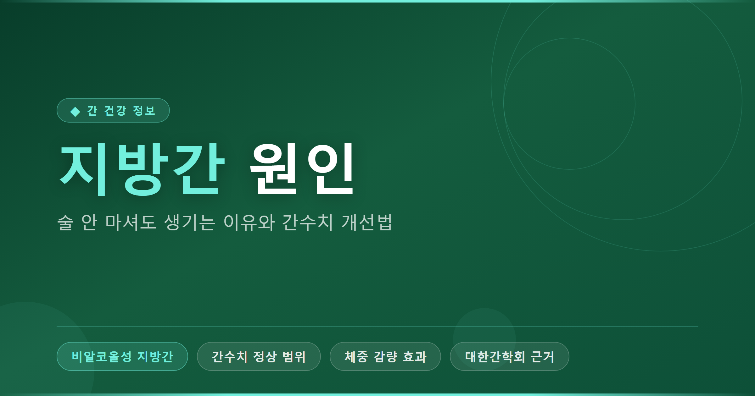지방간 원인 인포그래픽 - 비알코올성 지방간과 간수치 핵심 정보
