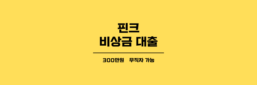 핀크 비상금 대출 제목이미지
