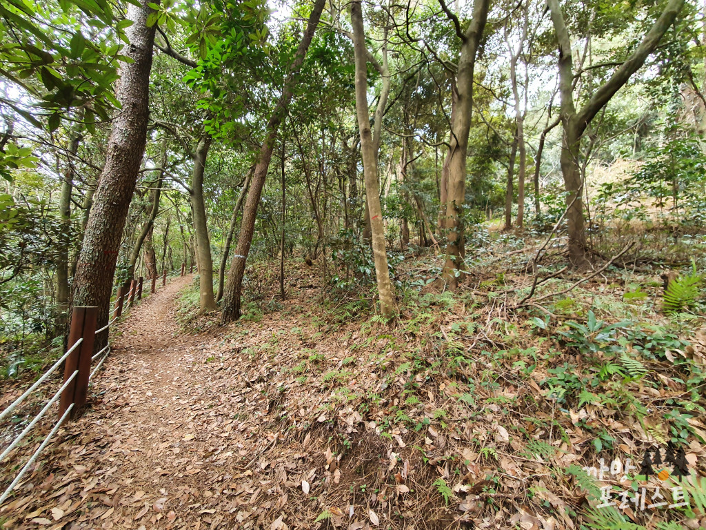 대왕산 올라가는길