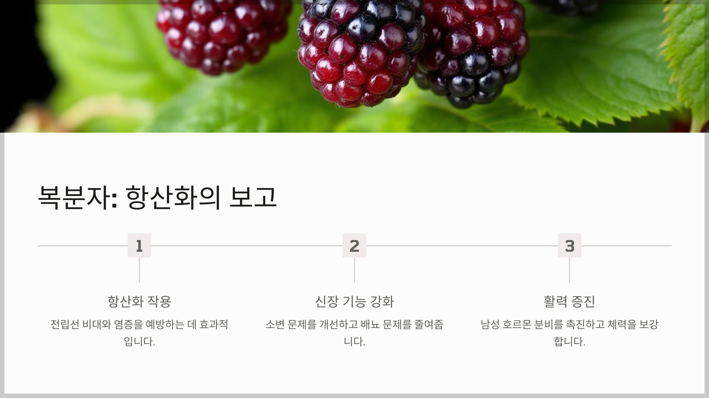 전립선 건강에 좋은 한약재