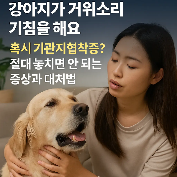 소파에 앉아 강아지를 다정히 돌보는 젊은 여성이 있는 장면 위에 ‘강아지가 거위소리 기침을 해요 — 혹시 기관지협착증? 절대 놓치면 안 되는 증상과 대처법’ 문구 삽입