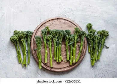 브로콜리니 재배 가지 분지 키우기 연속 수확 물 관리_6