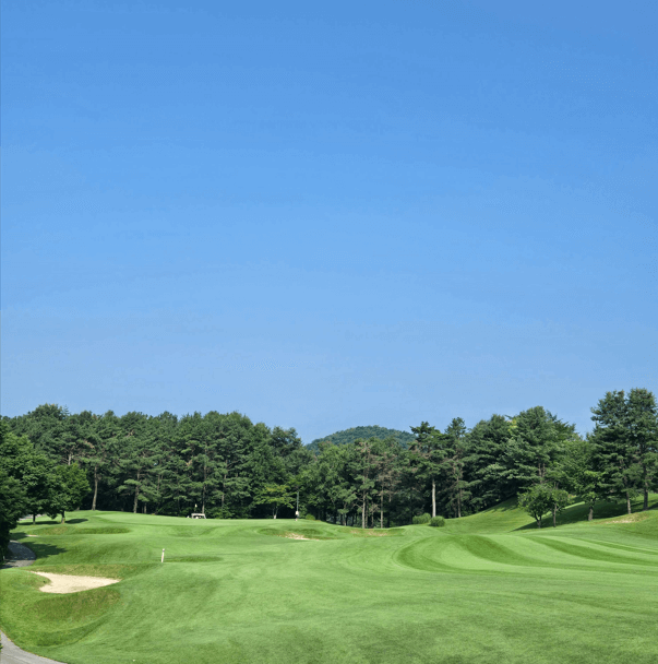 밀도높은 페어웨이잔디