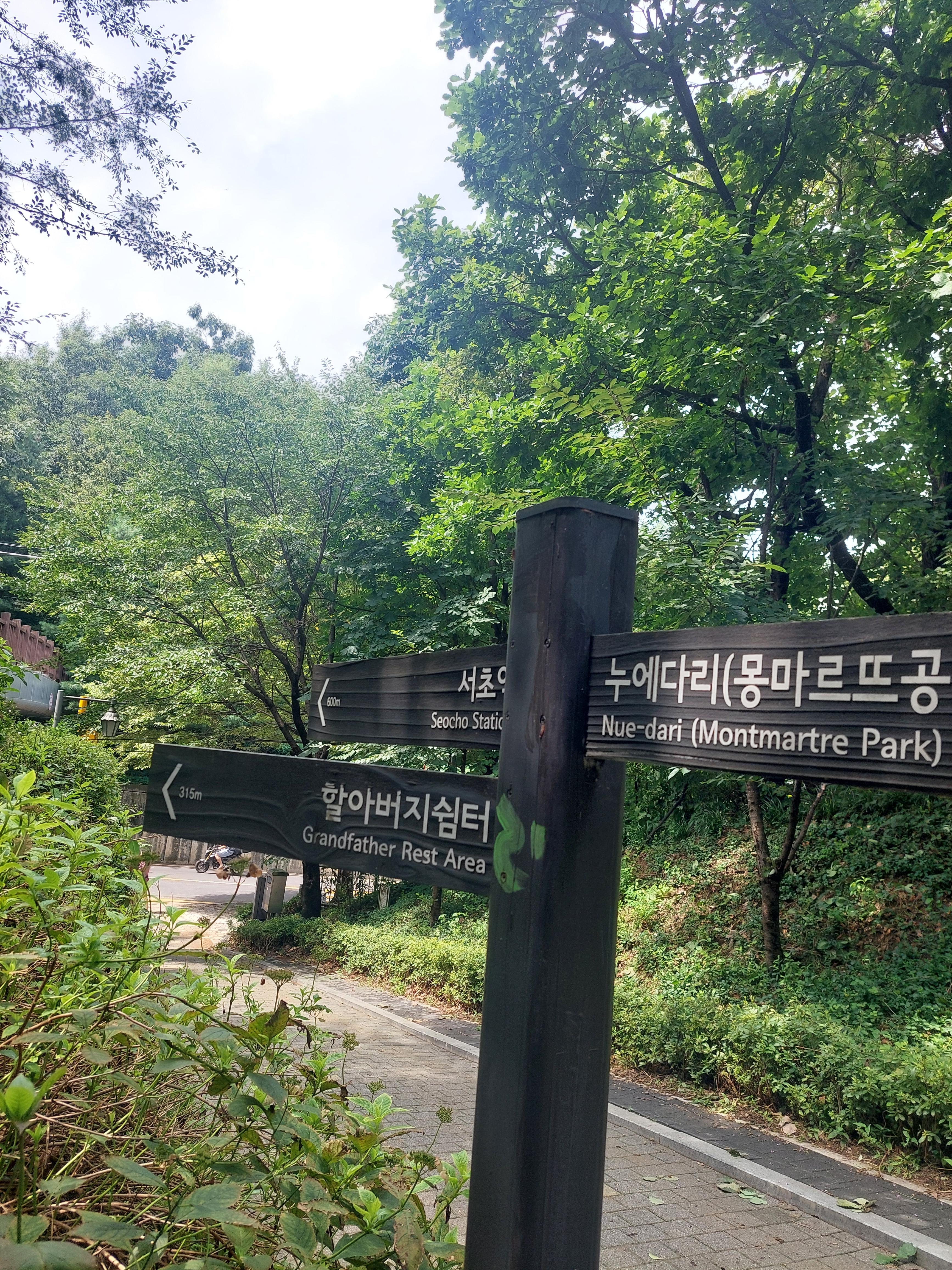 서리풀