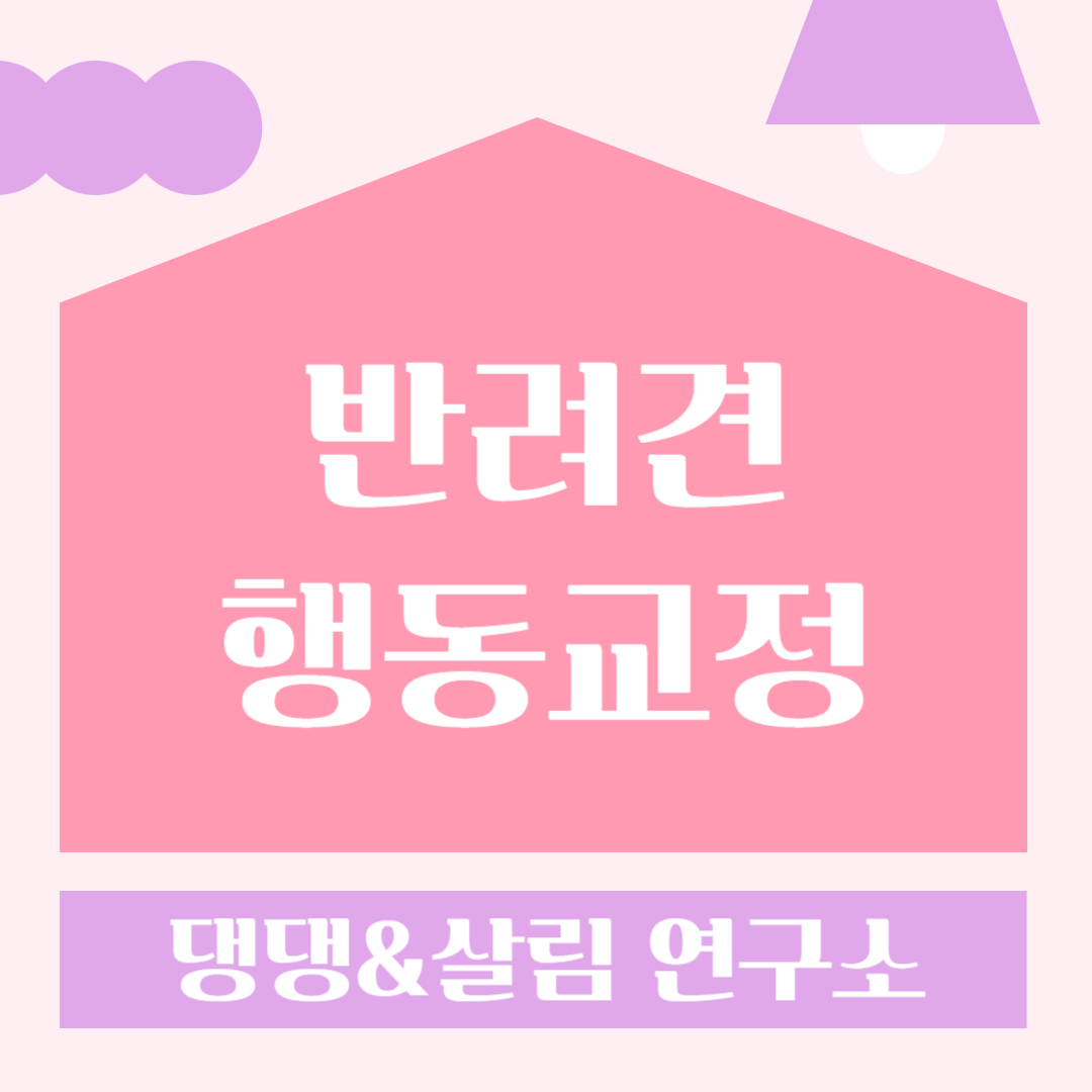 반려견 행동교정