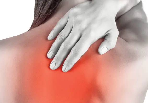 목과 상부 등(상부 척추)