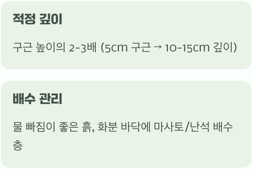 실패 없는 심기&amp;#44; 깊이와 물 빠짐