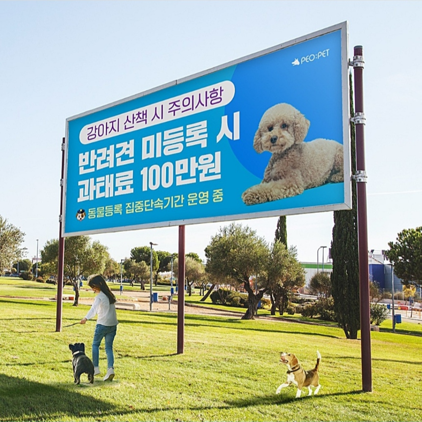 강아지 등록