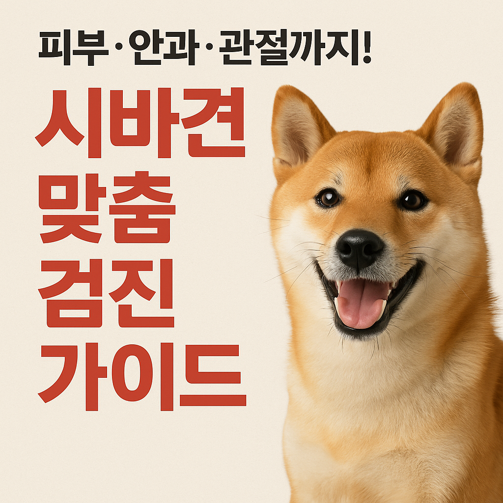 시바견