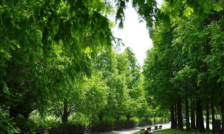 평택 가볼만한곳 베스트10