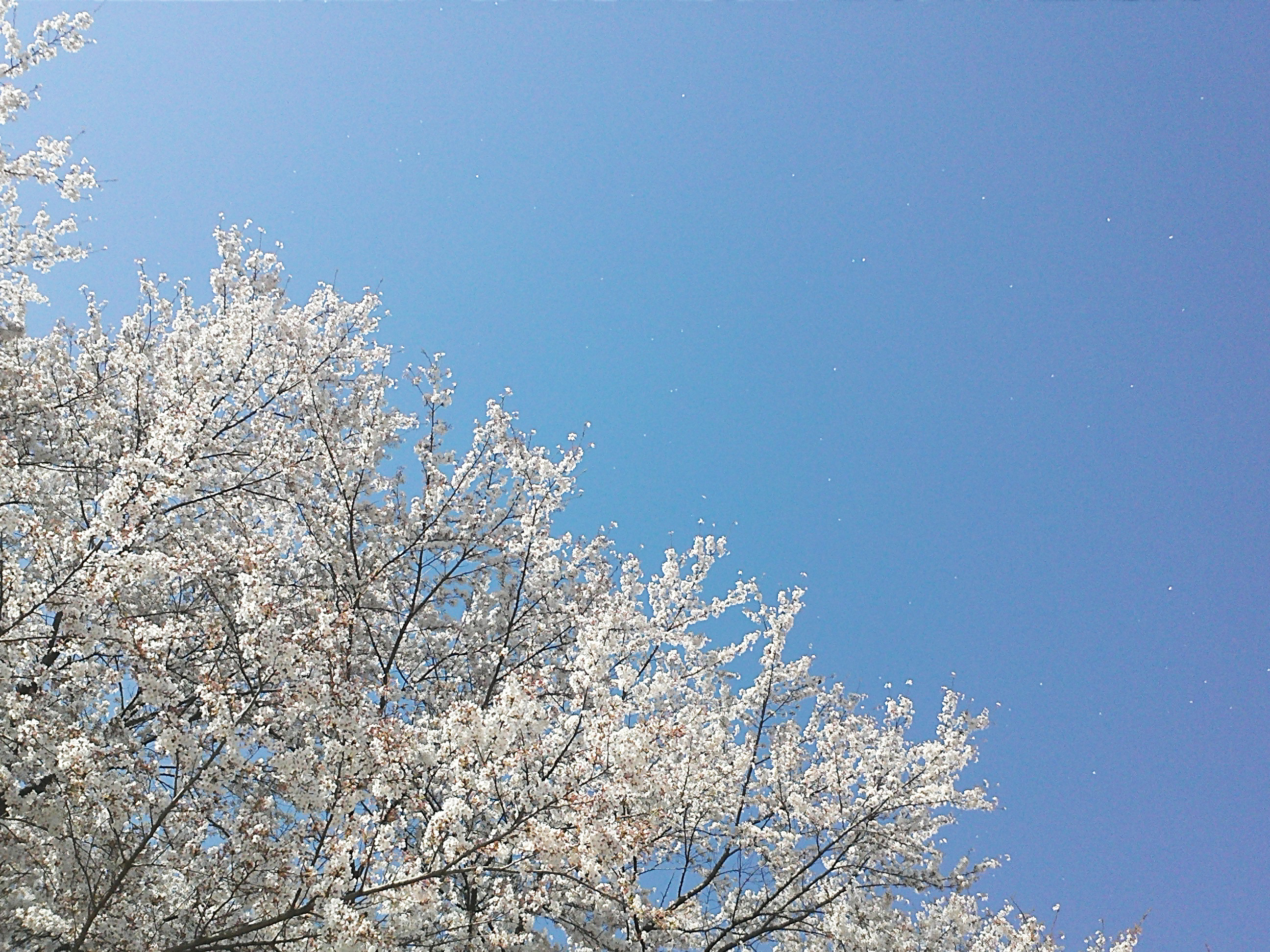 2022 λ²κ½ κ°νμκΈ°