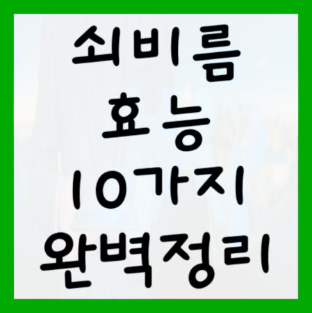 쇠비름-효능-10가지-대표사진
