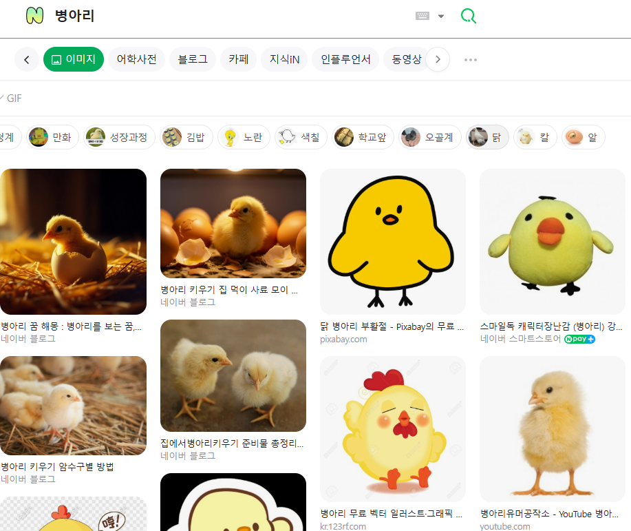 네이버-검색-병아리
