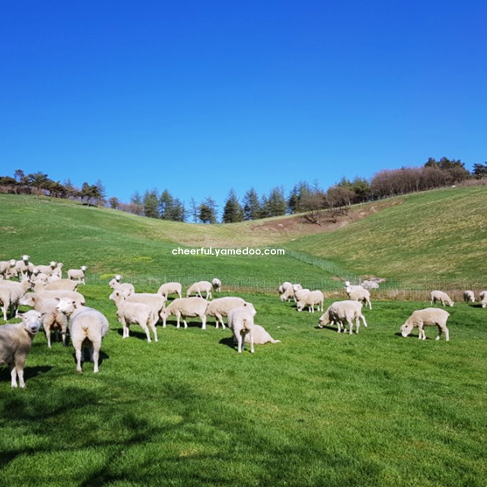 평창 가볼만한곳 베스트10