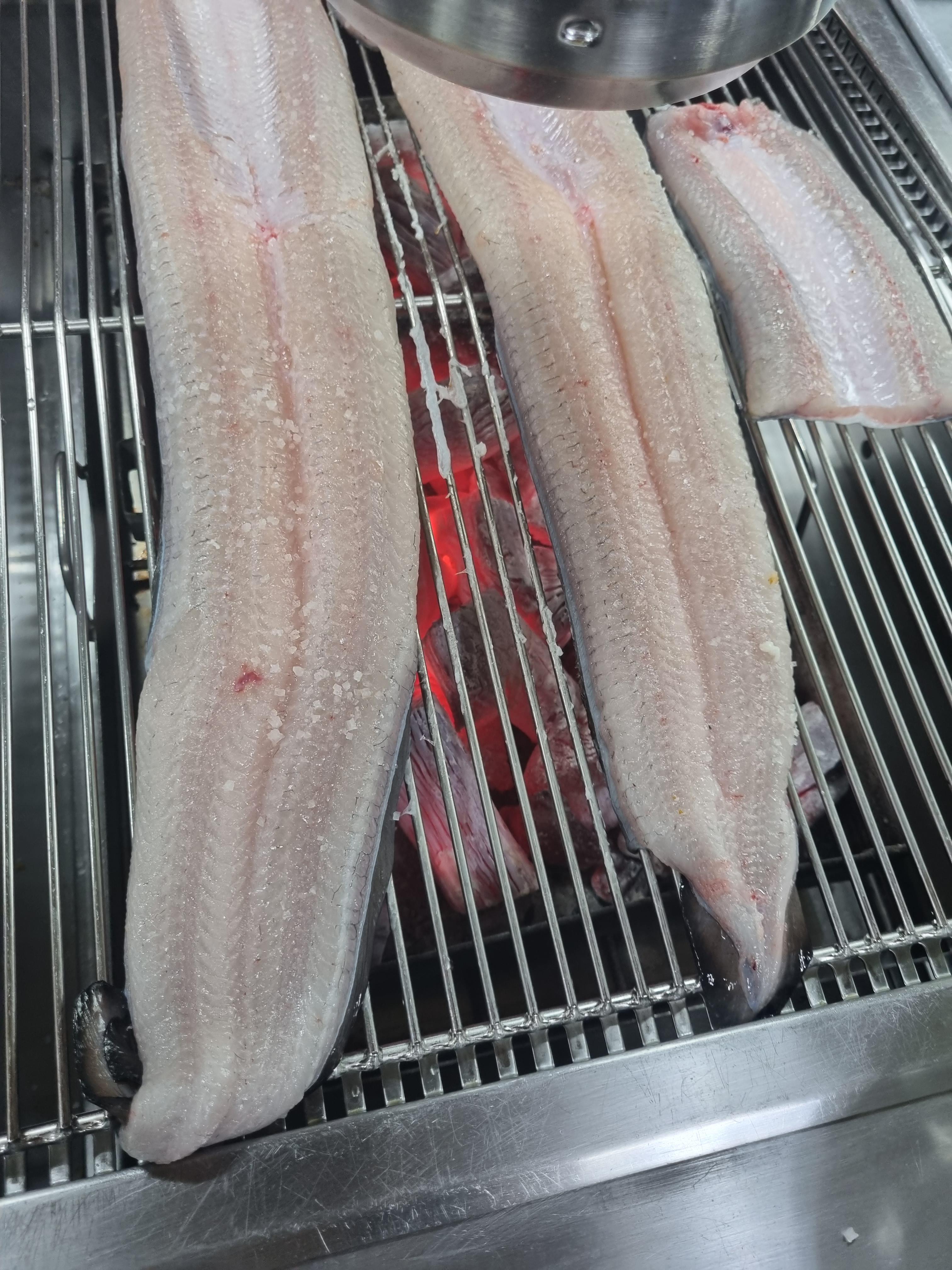 진두강민물장어