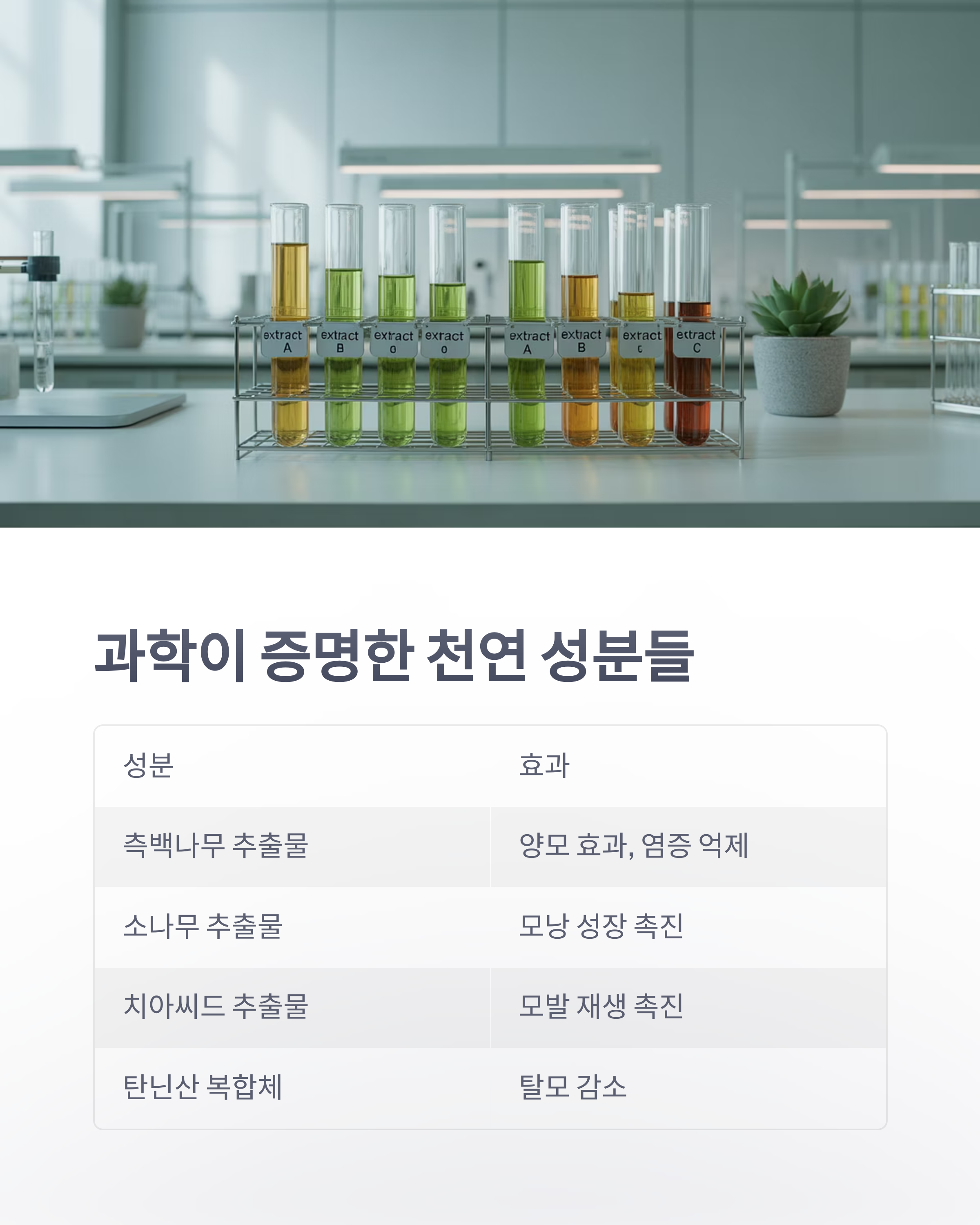 참조-나무껍질과-귤껍질,-탈모치료-효과-4