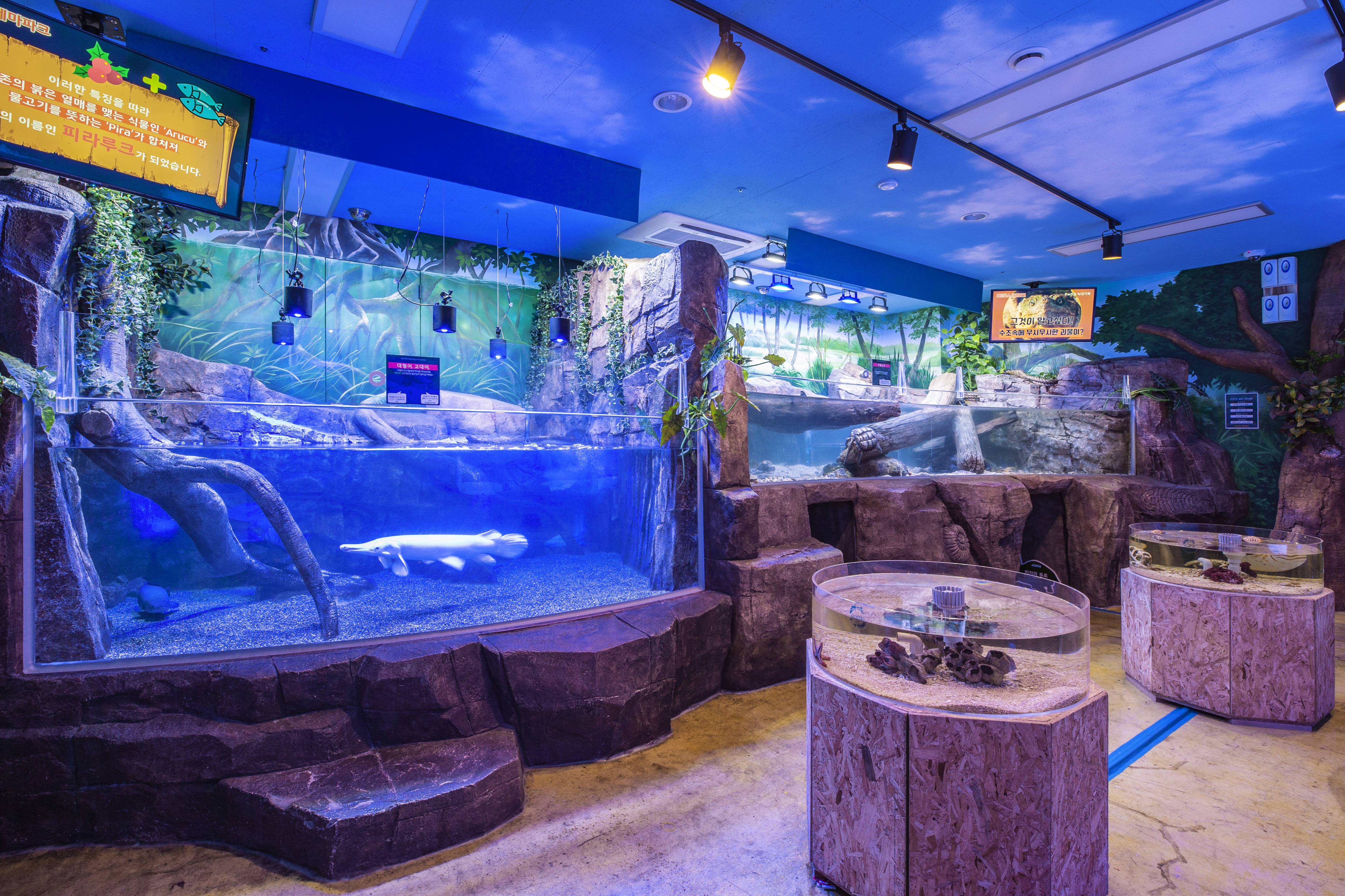 아르티스테마파크2