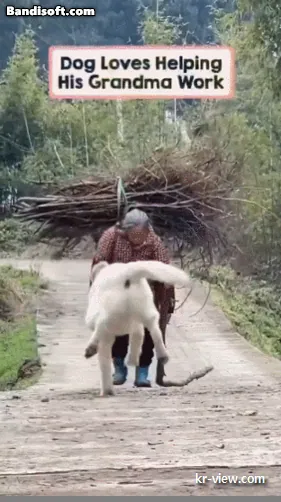 img.webp?credential=yqXZFxpELC7KVnFOS48ylbz2pIh7yKj8&expires=1767193199&allow_ip=&allow_referer=&signature=7eaXJXYDx67XiNyDVjfMCQy8%2F3I%3D