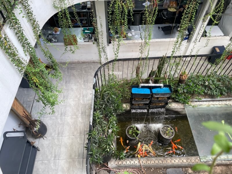 나트랑 바베큐 맛집 리빈콜렉티브 LIVIN - 연못