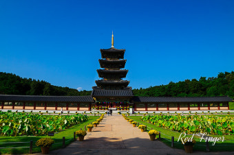 "백제의 숨결을 느끼다: 부여 백제문화단지 완벽 가이드"
