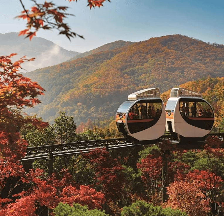 화담숲 단풍 시기