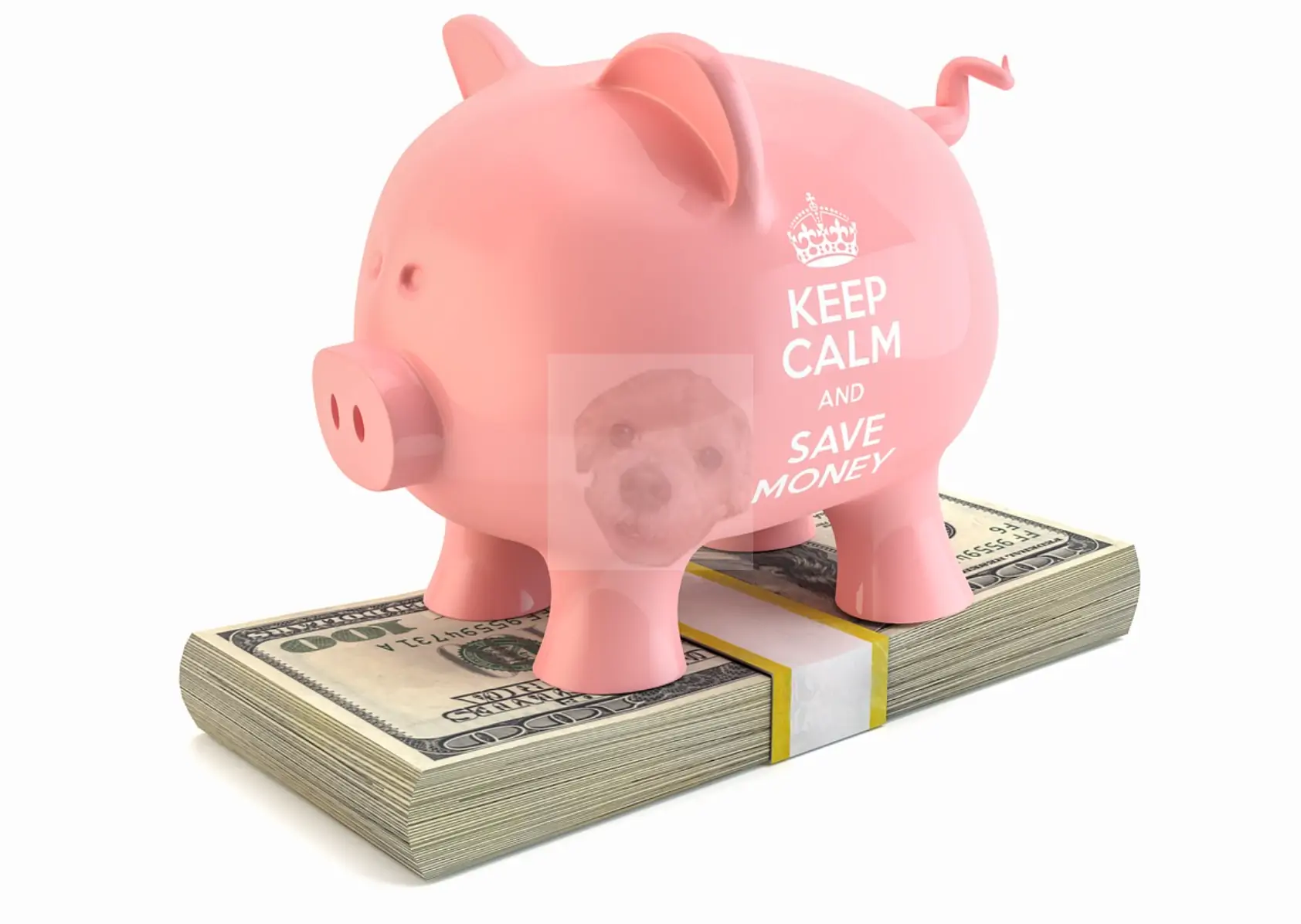 현금 보유의 중요성을 시사하는 사진