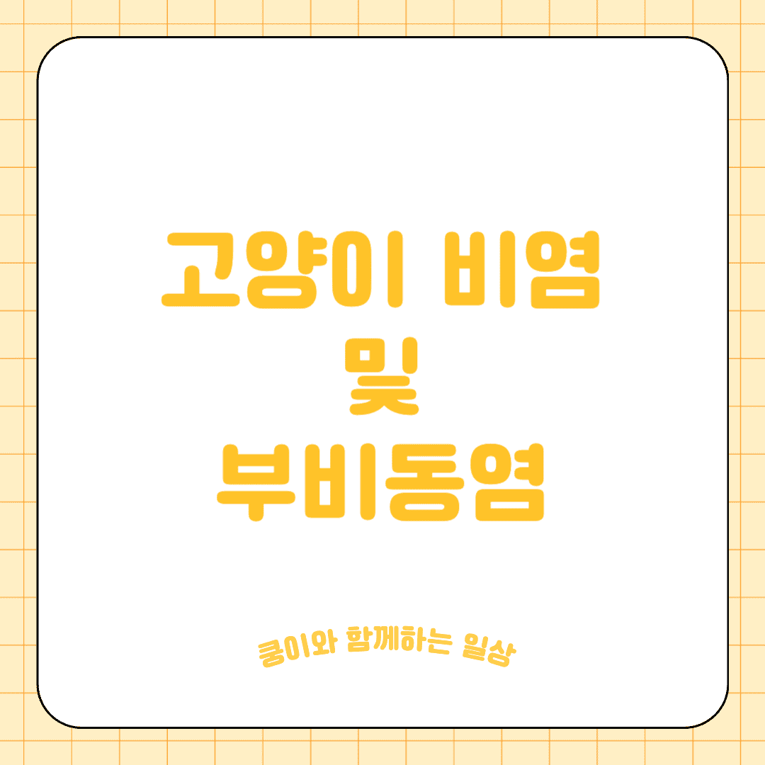 고양이 비염 및 부비동염