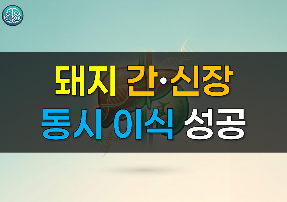 세계 최초 돼지 간&middot;신장 동시 이식 성공 - 이종 장기이식 최신 트렌드와 임상 과제 총정리