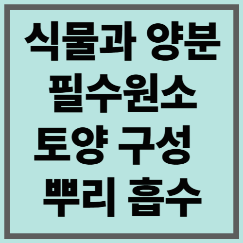 식물과 양분 - 필수원소 / 토양 구성 / 뿌리 흡수