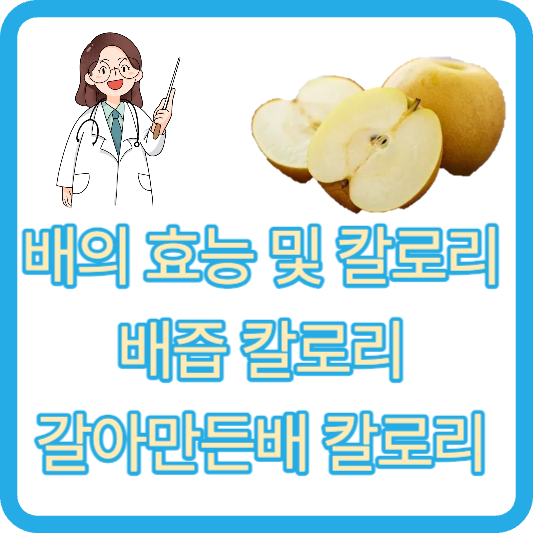배의 효능 및 칼로리 배즙 칼로리 갈아만든배 칼로리