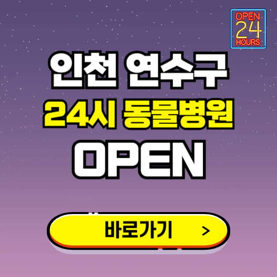 인천 연수구 24시 동물병원 진료하는 곳 ❘ 설날 휴일 야간 심야 문여는곳 찾기 ❘ 응급진료