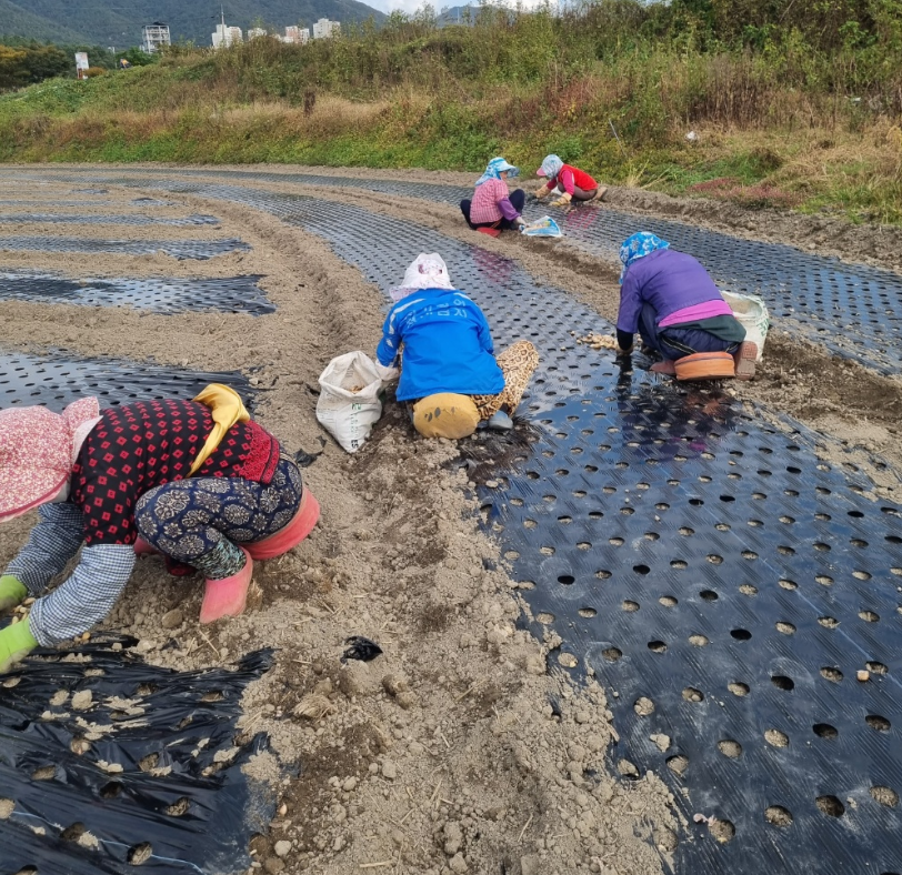 농촌 일자리 플러스