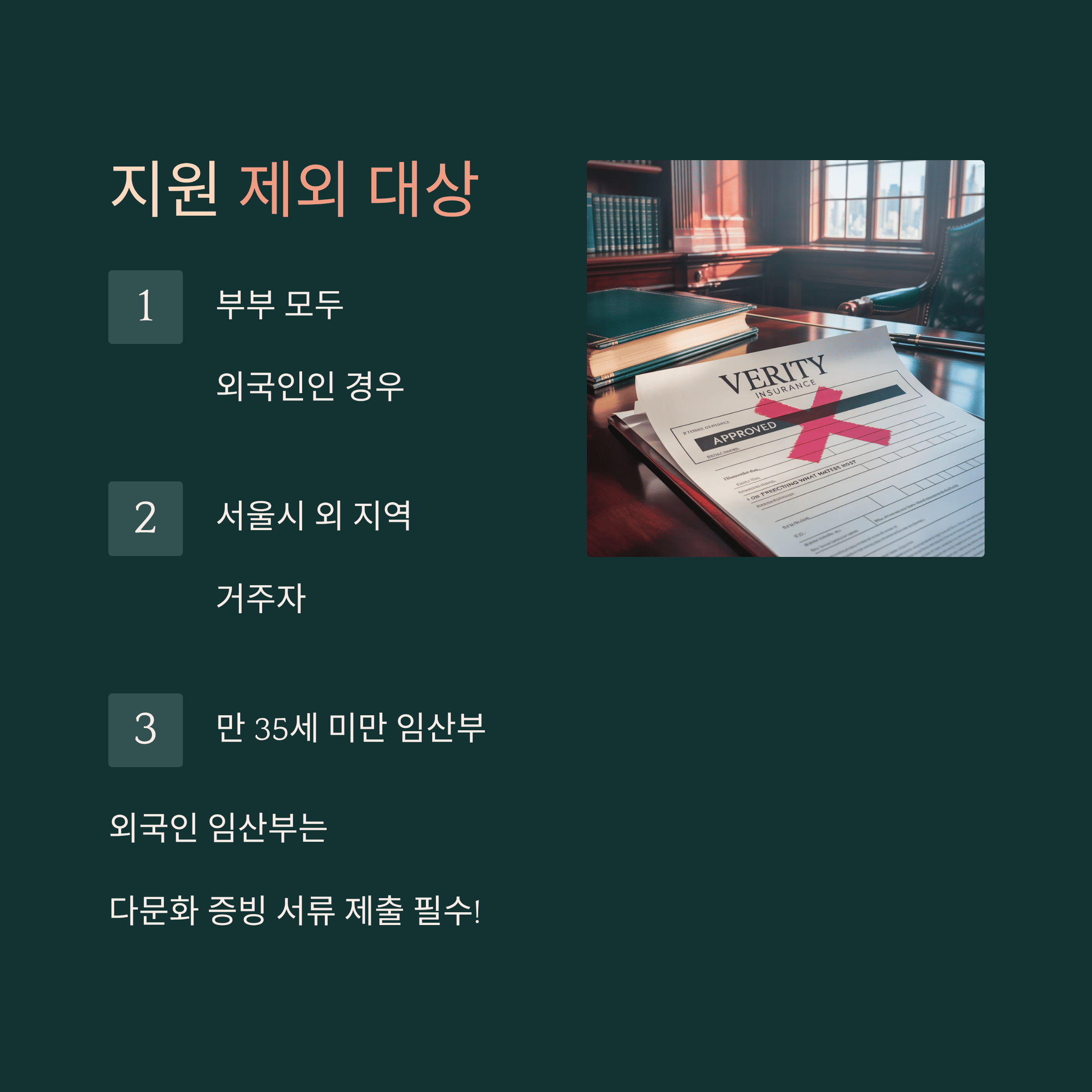 서울시 35세 이상 임산부 의료비 최대 50만원 지원 사업 제외 대상