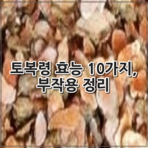 토복령 효능 10가지, 부작용 정리