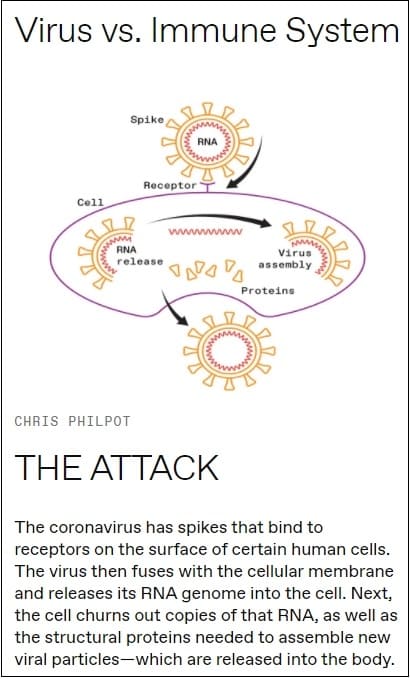 바이러스의 진화를 알 수 있는 항원 지도...오미크론은 완전 별종 VIDEO:THE ALGORITHM THAT MAPPED OMICRON SHOWS A PATH FORWARD