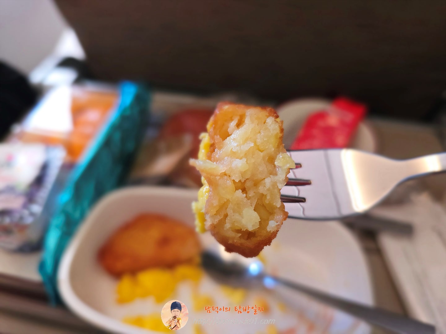 아시아나항공 기내식