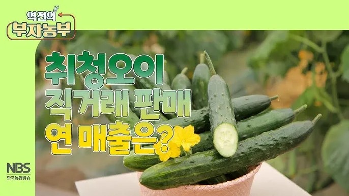 직거래 판매 준비 포장 가격 온라인마켓 택배 규정_6