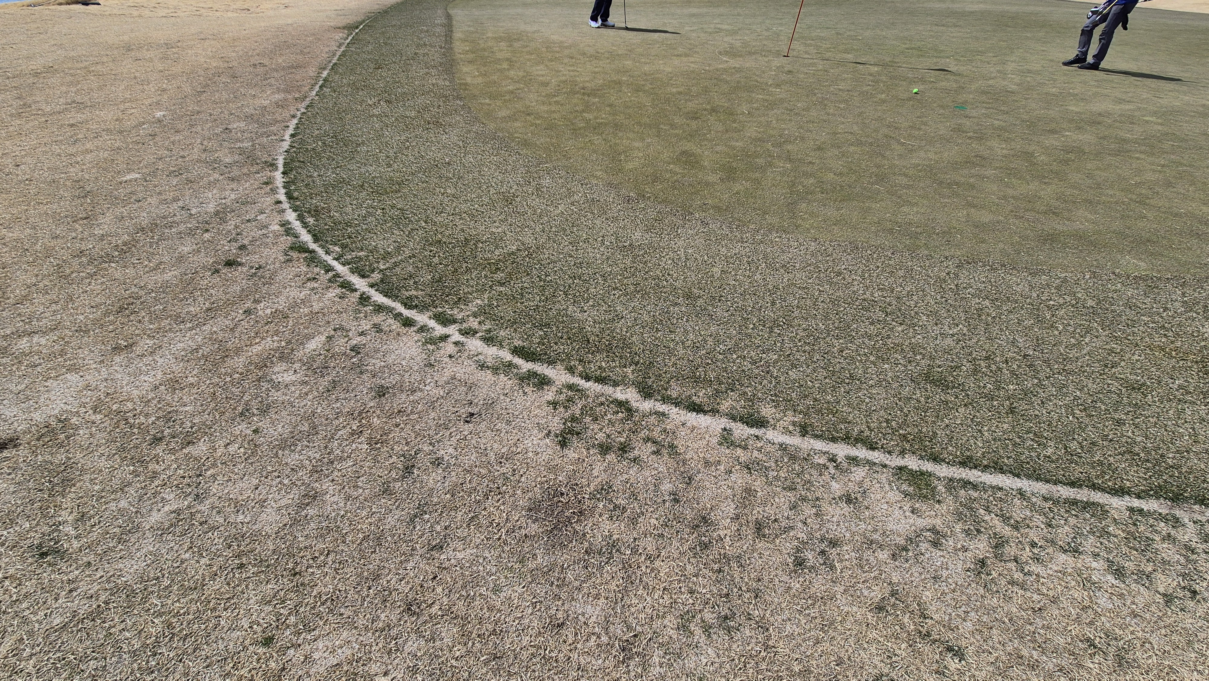 이글몬트cc 히든-이글 코스 라운드 후기