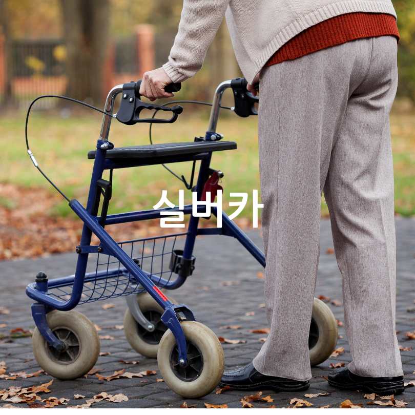 2025년 어르신 실버카 대여 시범사업