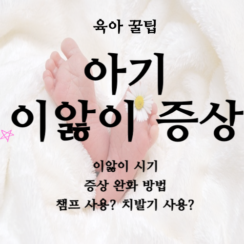 이앓이 증상