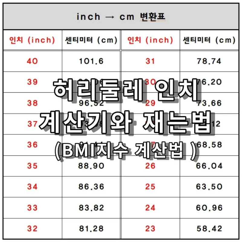허리 인치 계산법 계산기 표 정리는_8