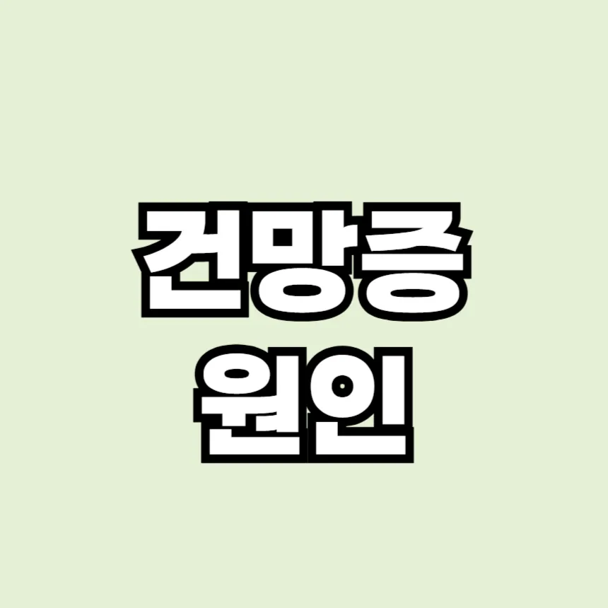 건망증 원인