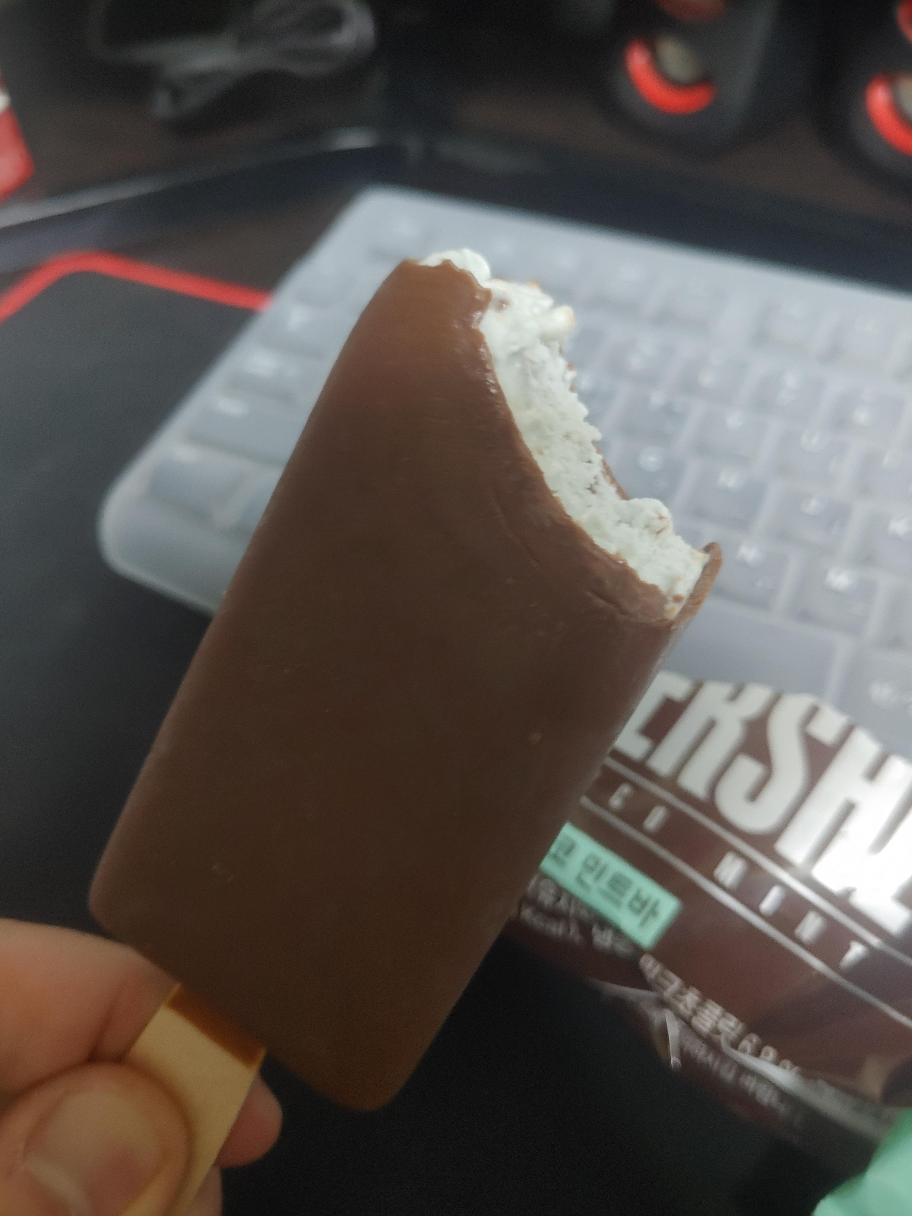 허쉬 민트 초코바 존맛탱 아이스크림