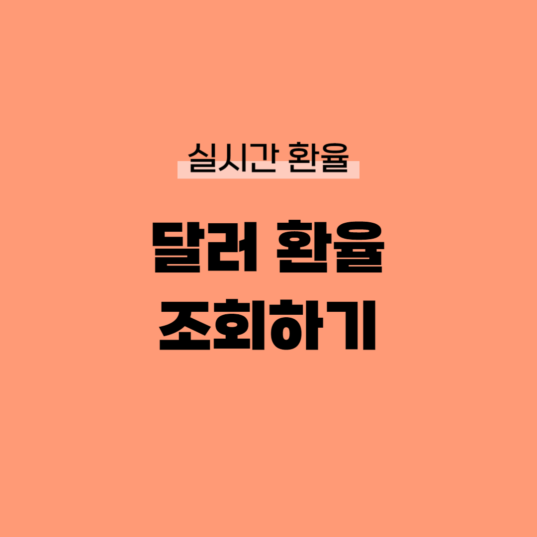 달러 환율 조회하기