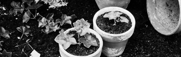 공기 중의 습도를 높게 유지