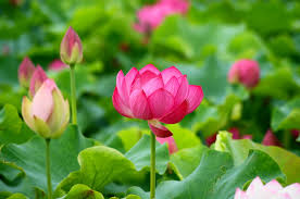 천수경 독송의 놀라운 효과, 이것만 알면 끝