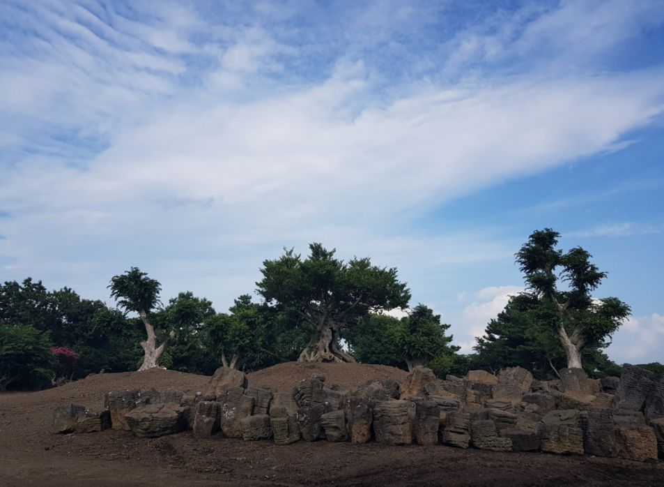 제주도 가볼만한곳 10곳 30선 제주동화마을
