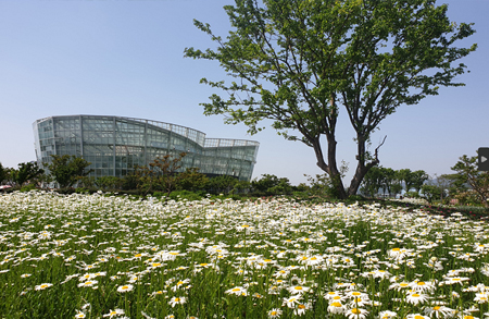 [4월~5월 여행지]만개한 꽃잔디와 봄날의 감동, 거창창포원에서 만난 힐링의 순간